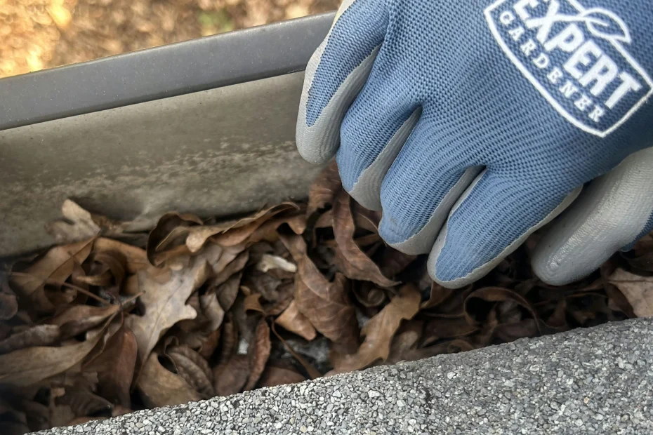 South Portland Gutter Cleaning