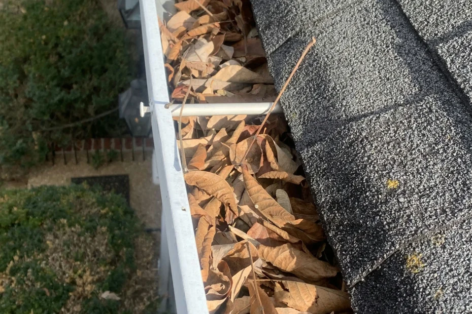 South Portland Gutter Cleaning